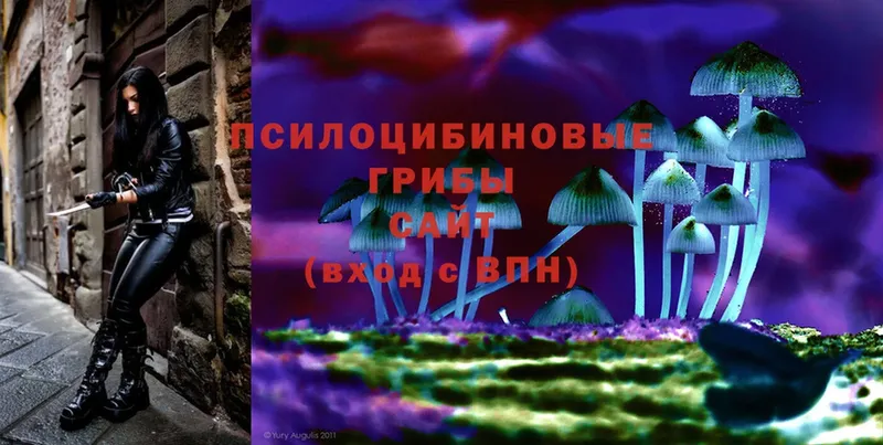 Галлюциногенные грибы Magic Shrooms  купить наркоту  Дубовка 